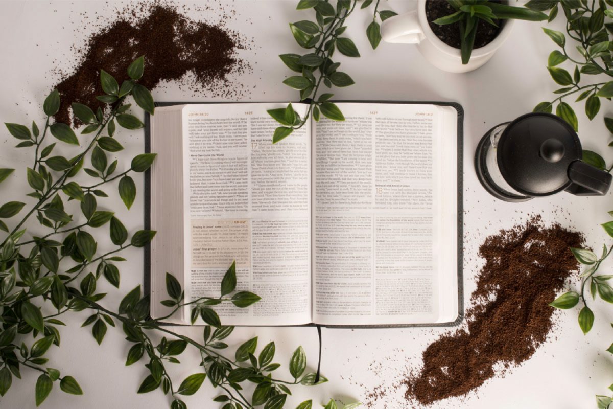 Novels ‘have been getting substantially longer over last two decades’